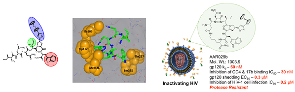 Structure-Based Design of Peptidomimetics Inhibitors of the HIV-1 Envelope gp120 Glycoprotein